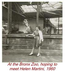 At the Bronx Zoo